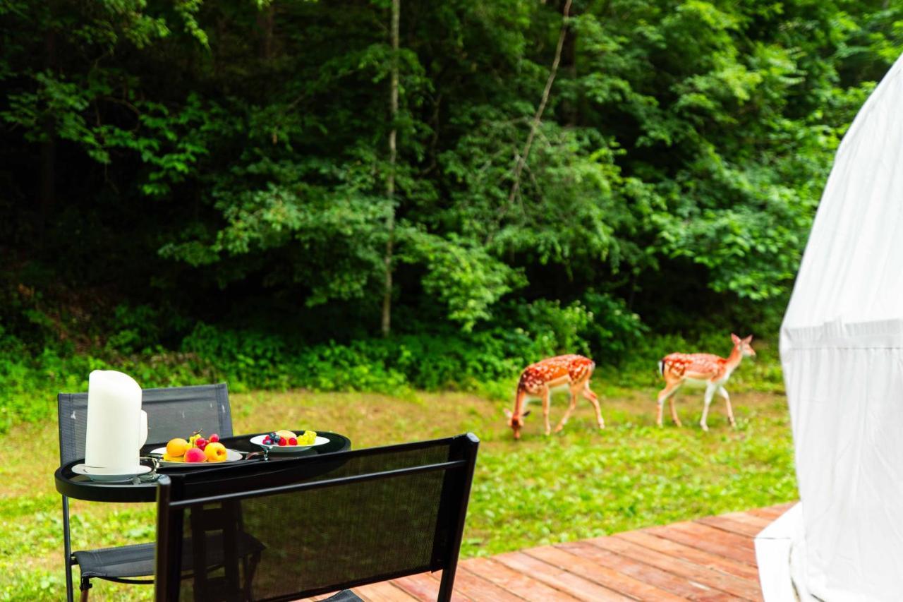 Solace Glamping 2 Sevierville Ngoại thất bức ảnh